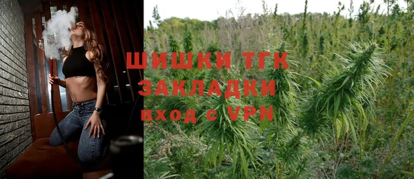 гашик Белокуриха