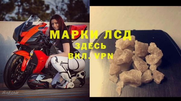 гашик Белокуриха