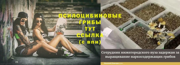 гашишное масло Балабаново