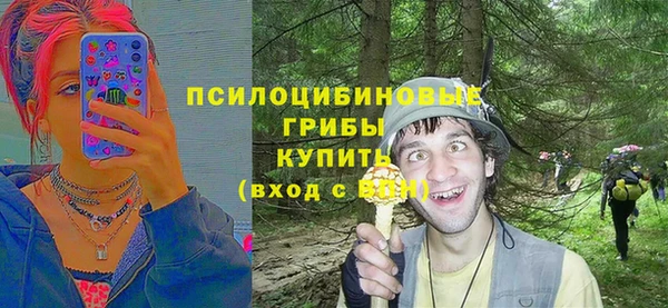 гашик Белокуриха