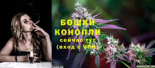 гашик Белокуриха