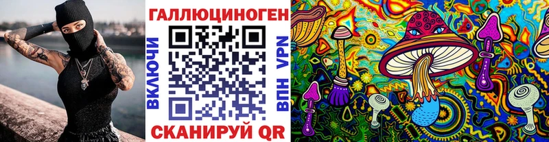 Псилоцибиновые грибы мицелий как найти Кировград