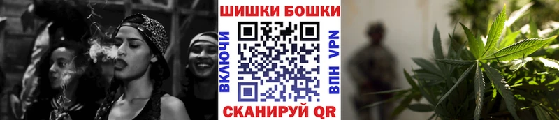 Конопля планчик  Кировград 